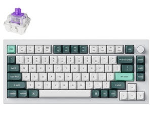 Keychron Q1 HE QMK RGB Wireless Gateron Double-Rail Nebula Switch